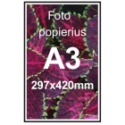 A3 foto popierius